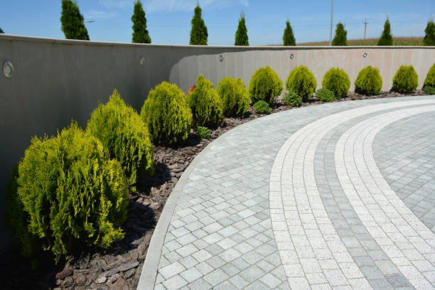 Best Permeable Paver Driveway  in Westwood, NJ